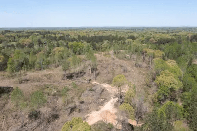 Twin Rivers — Zero Credit Land owner financed land for sale in Henderson County, Tennessee