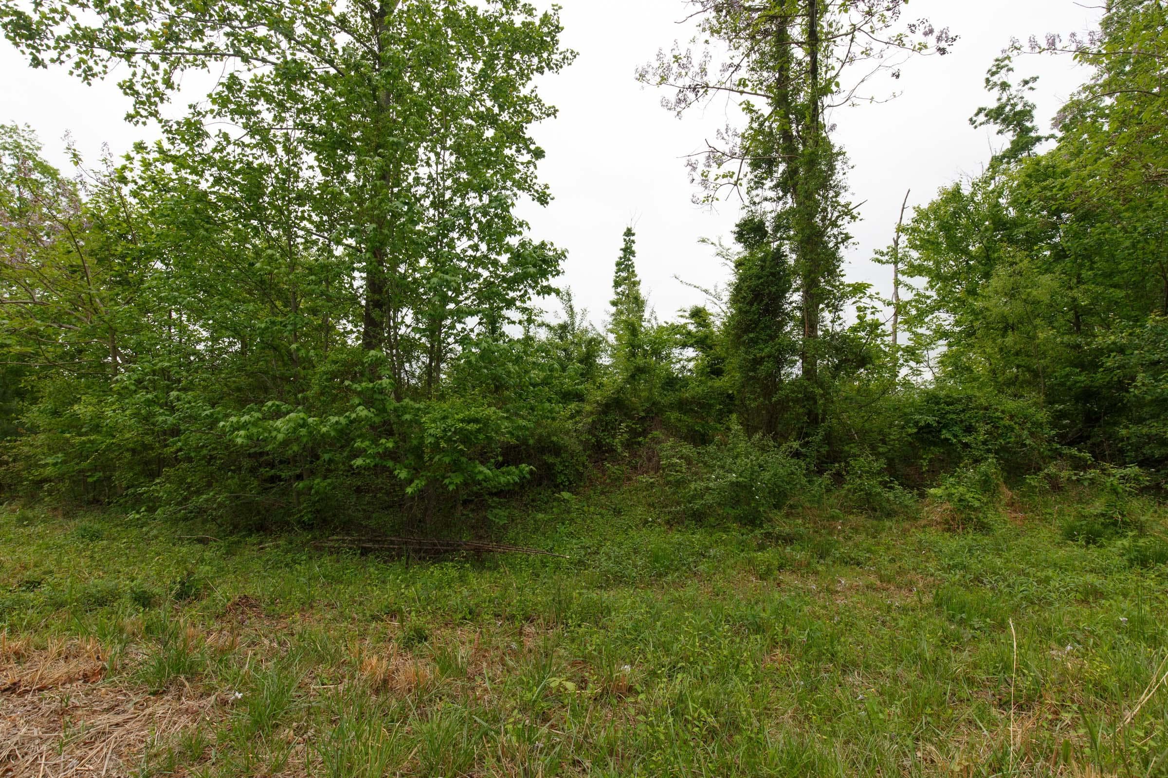 Red Barn Ranch — Zero Credit Land owner financed land for sale in Benton County, Tennessee photo 13