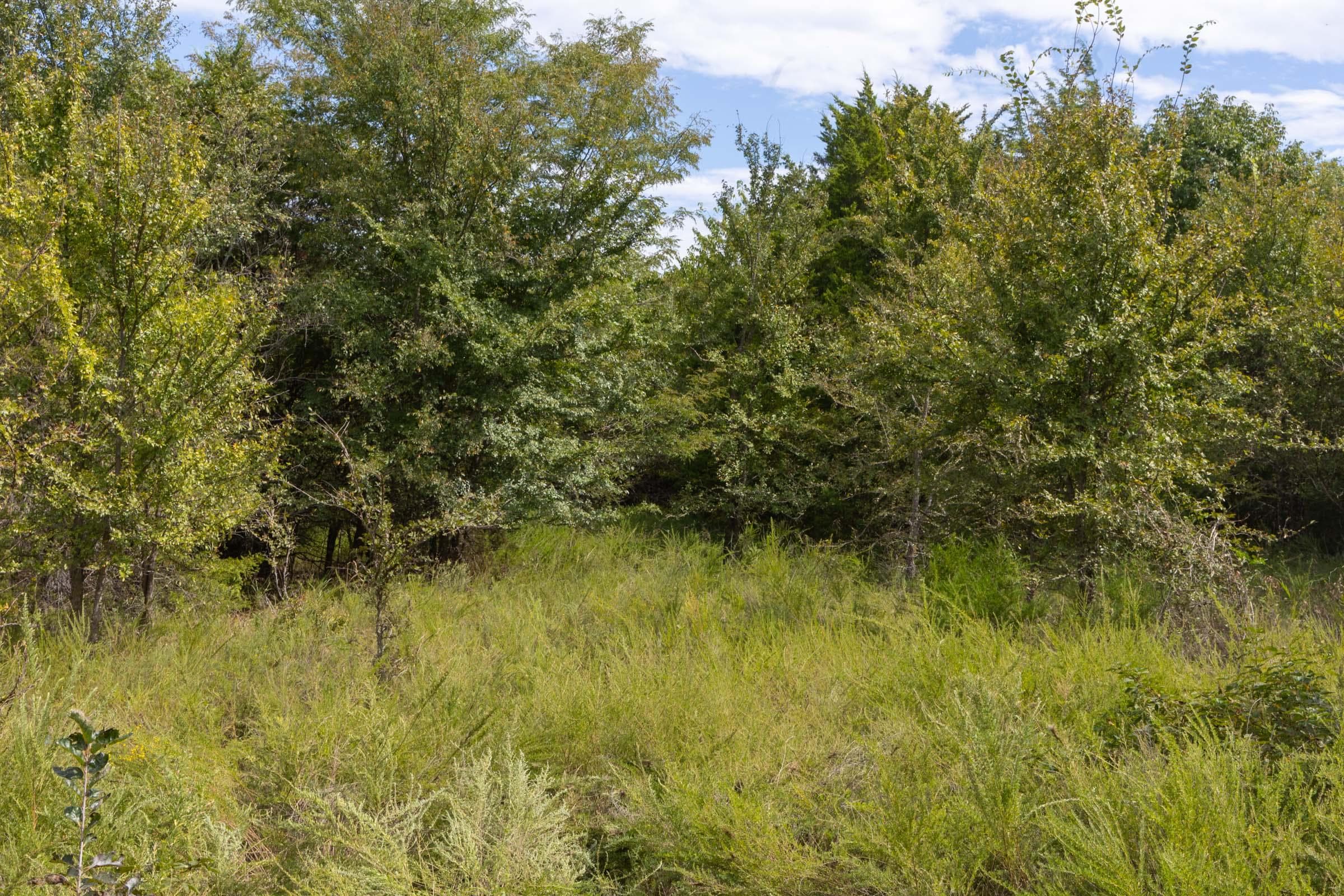  Reserves At Cattail Cove Phase II — Zero Credit Land owner financed land for sale in Pittsburg County, Oklahoma photo 74