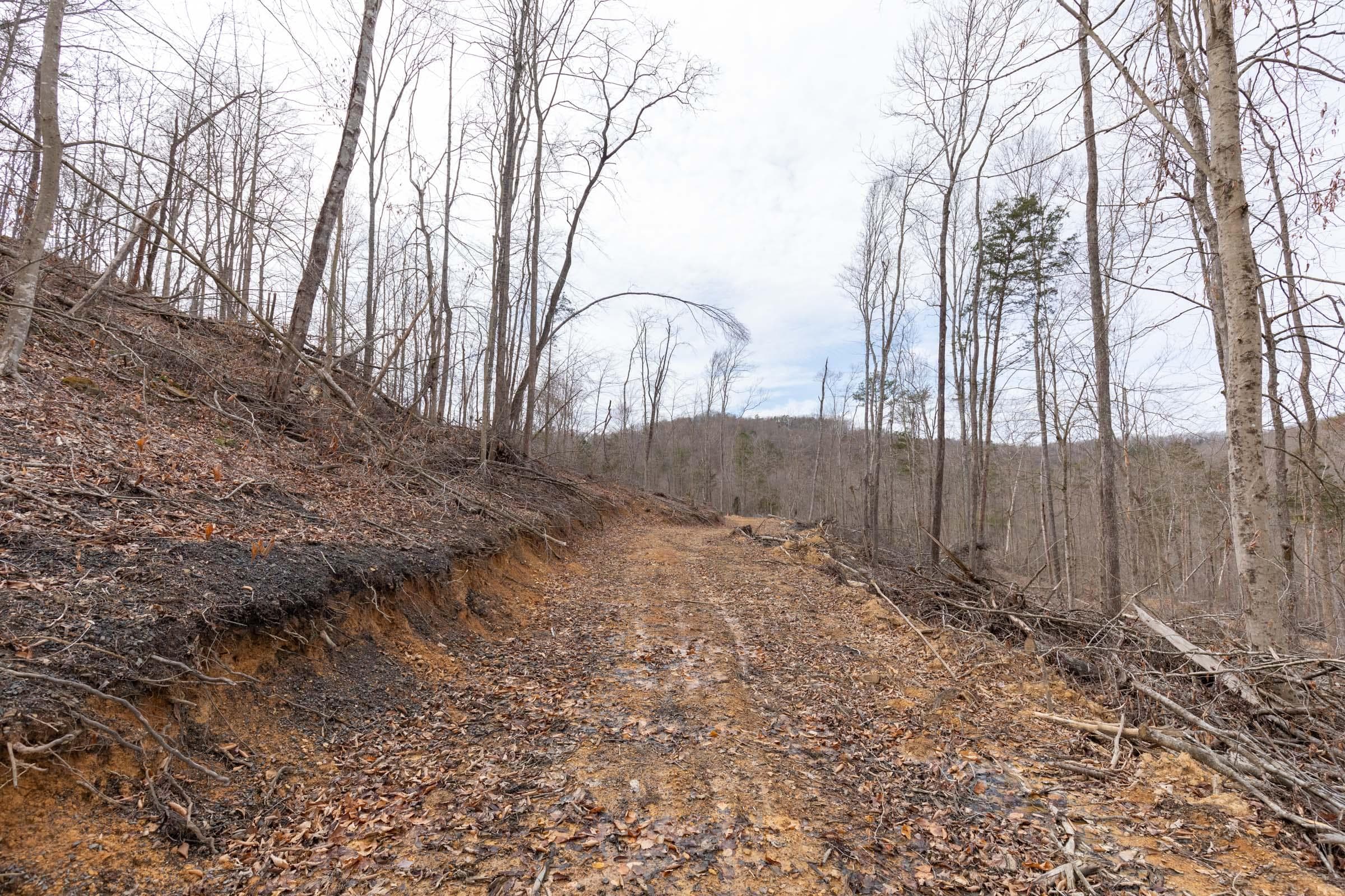 Creek Hollow Phase 1 — Zero Credit Land owner financed land for sale in Rockcastle County, Kentucky photo 64