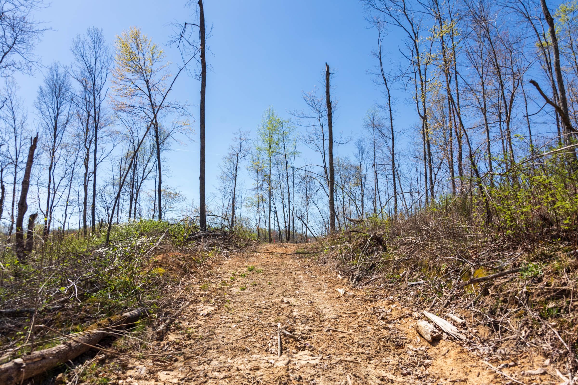 Creek Hollow Phase 1 — Zero Credit Land owner financed land for sale in Rockcastle County, Kentucky photo 53
