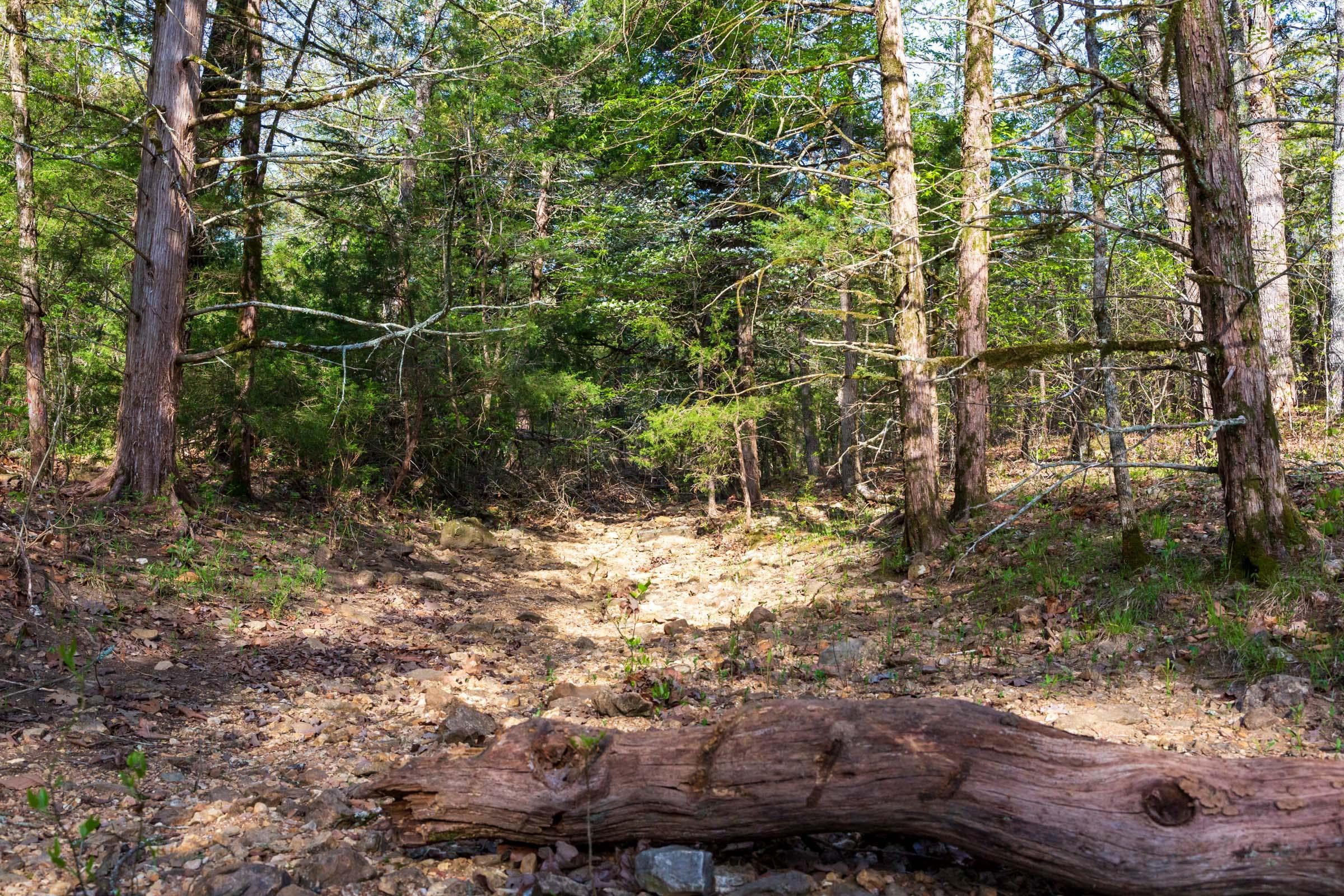  Autumnwood — Zero Credit Land owner financed land for sale in Fulton County, Arkansas photo 15