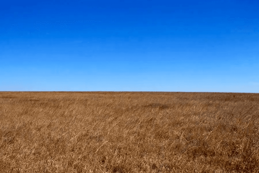 Cowboy Meadows — Zero Credit Land owner financed land for sale in Chautauqua County, Kansas photo 21