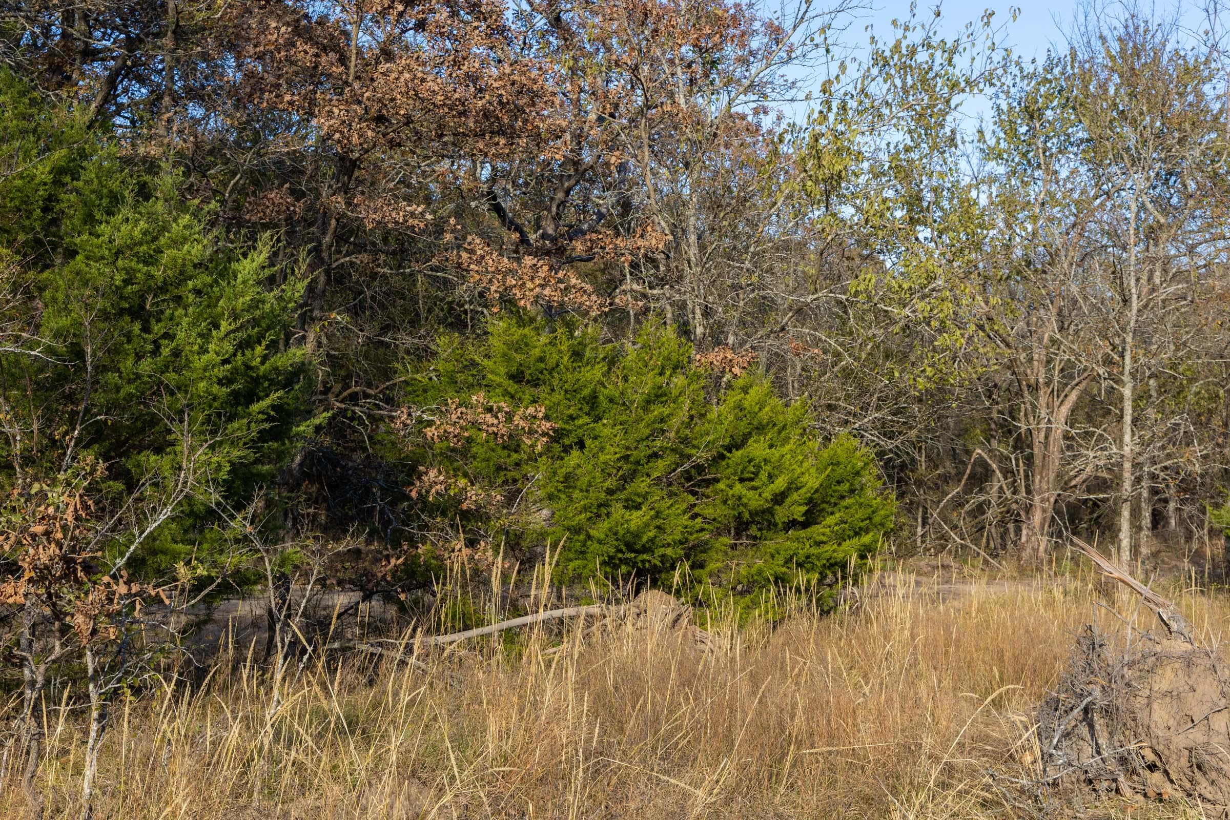 Harmony Hills — Zero Credit Land owner financed land for sale in Pittsburg County, Oklahoma photo 123