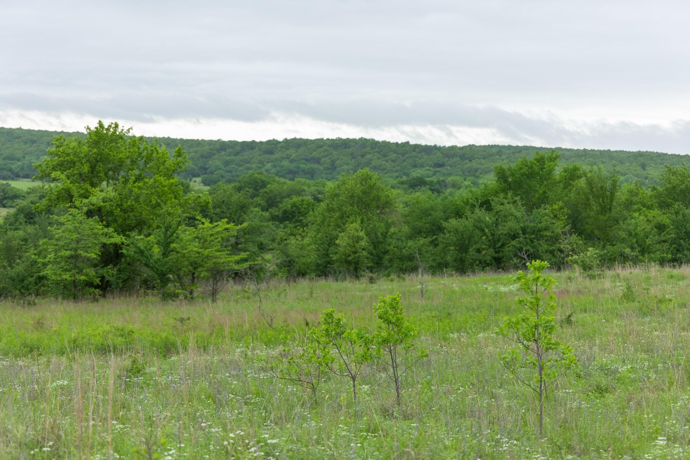 Harmony Hills — Zero Credit Land owner financed land for sale in Pittsburg County, Oklahoma photo 172