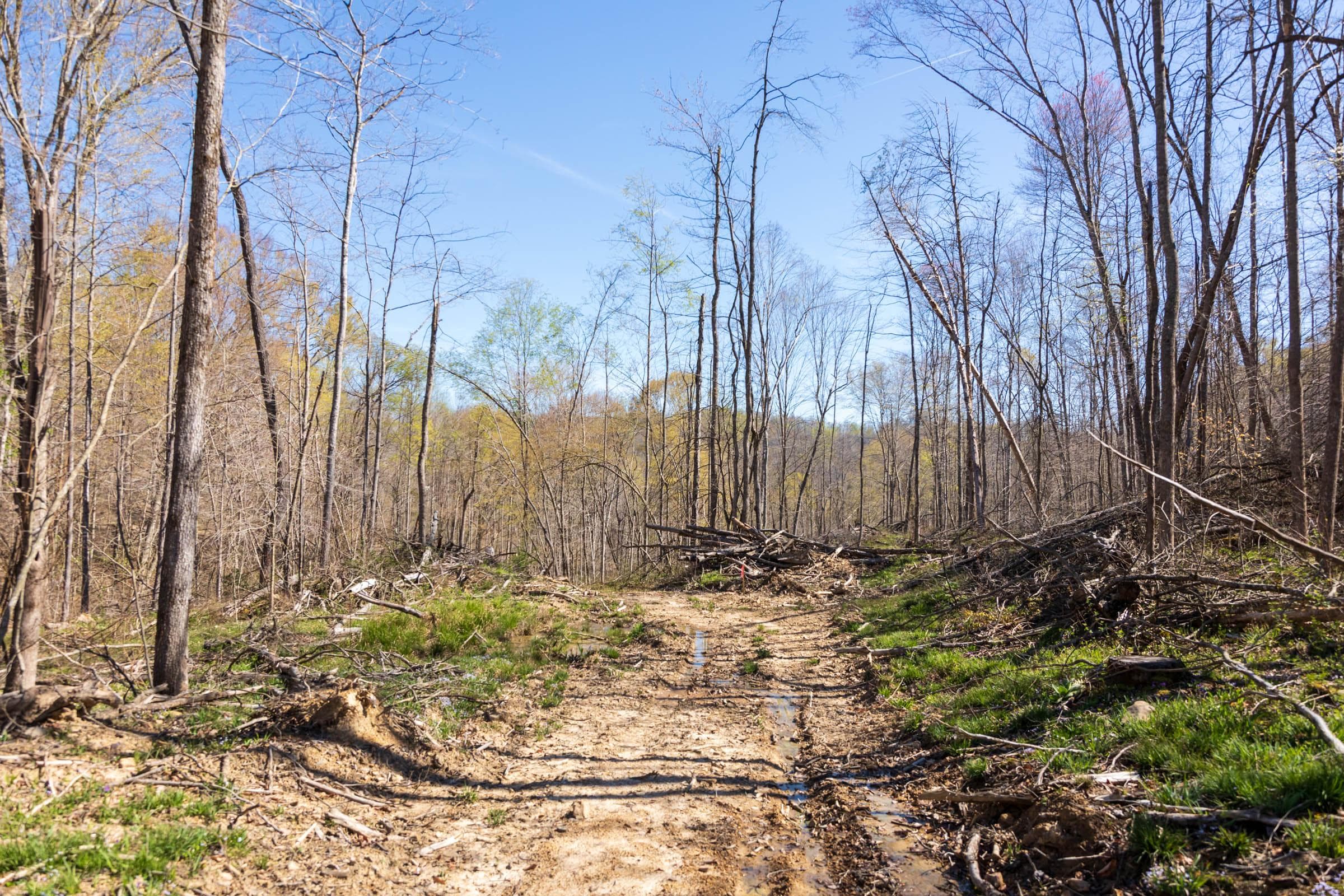 Creek Hollow Phase 1 — Zero Credit Land owner financed land for sale in Rockcastle County, Kentucky photo 58