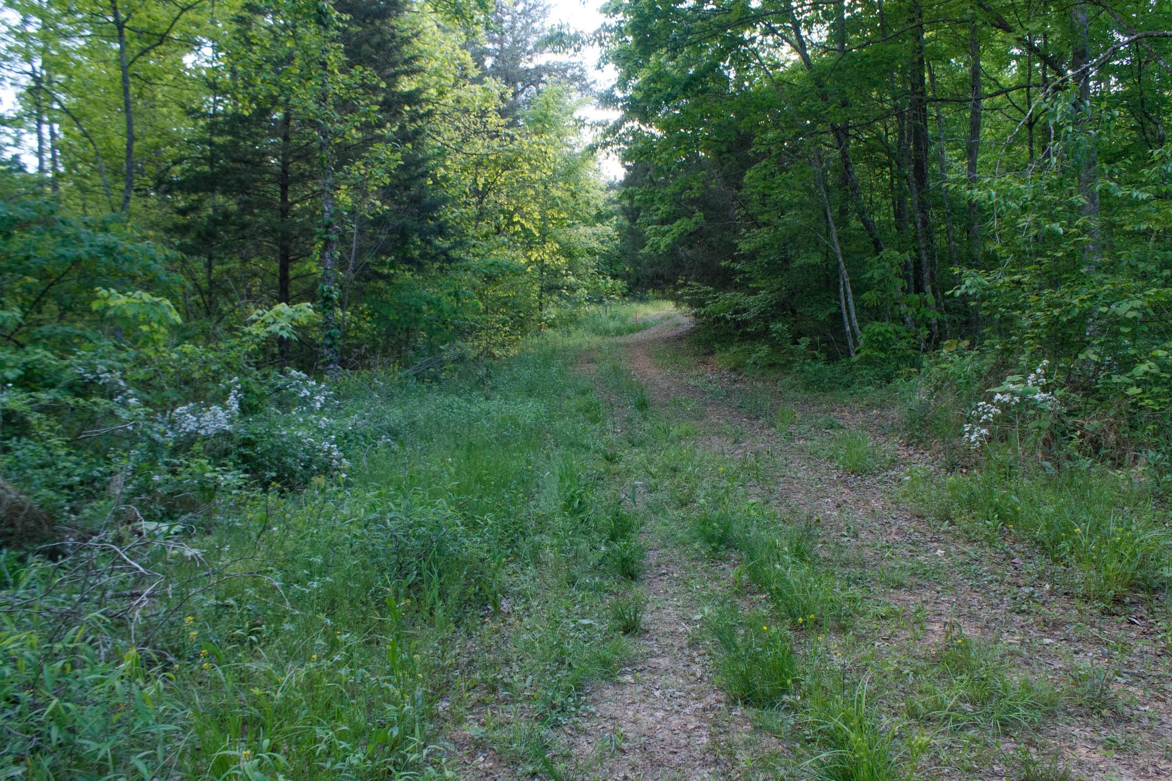 Wayne County, Kentucky land — photo 1